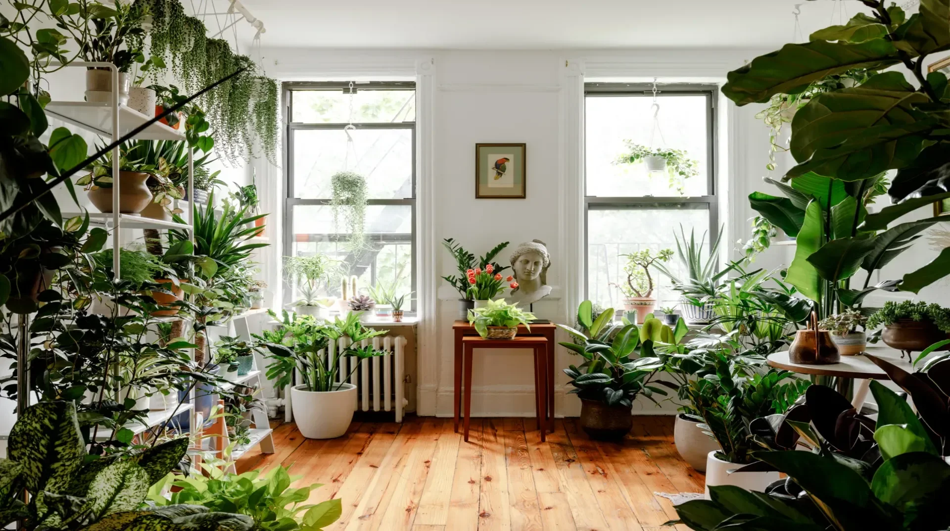 Easy Low-Maintenance Indoor Plants for Every Home Garden