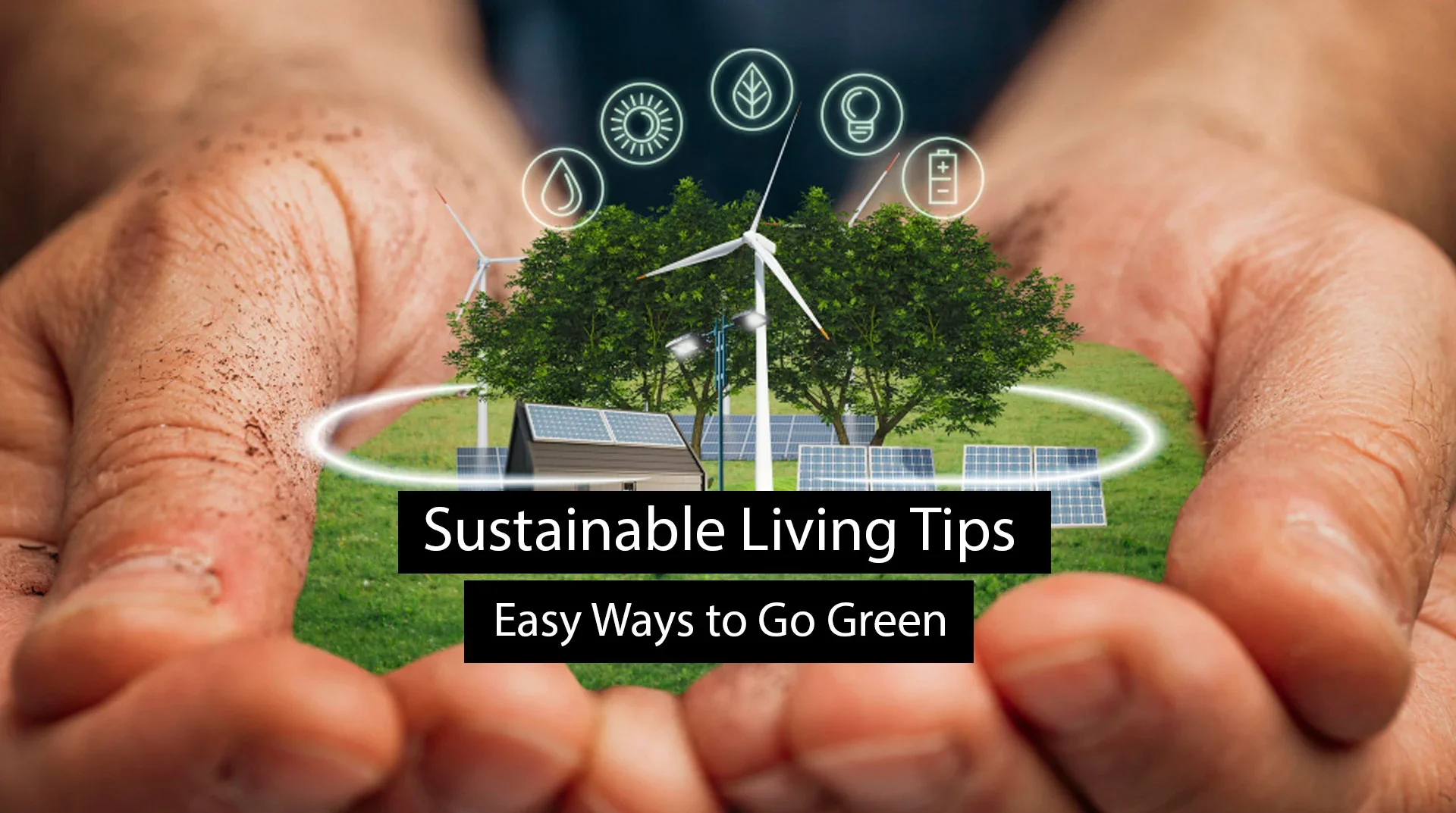 Sustainable Living Tips: Easy Ways to Go Green