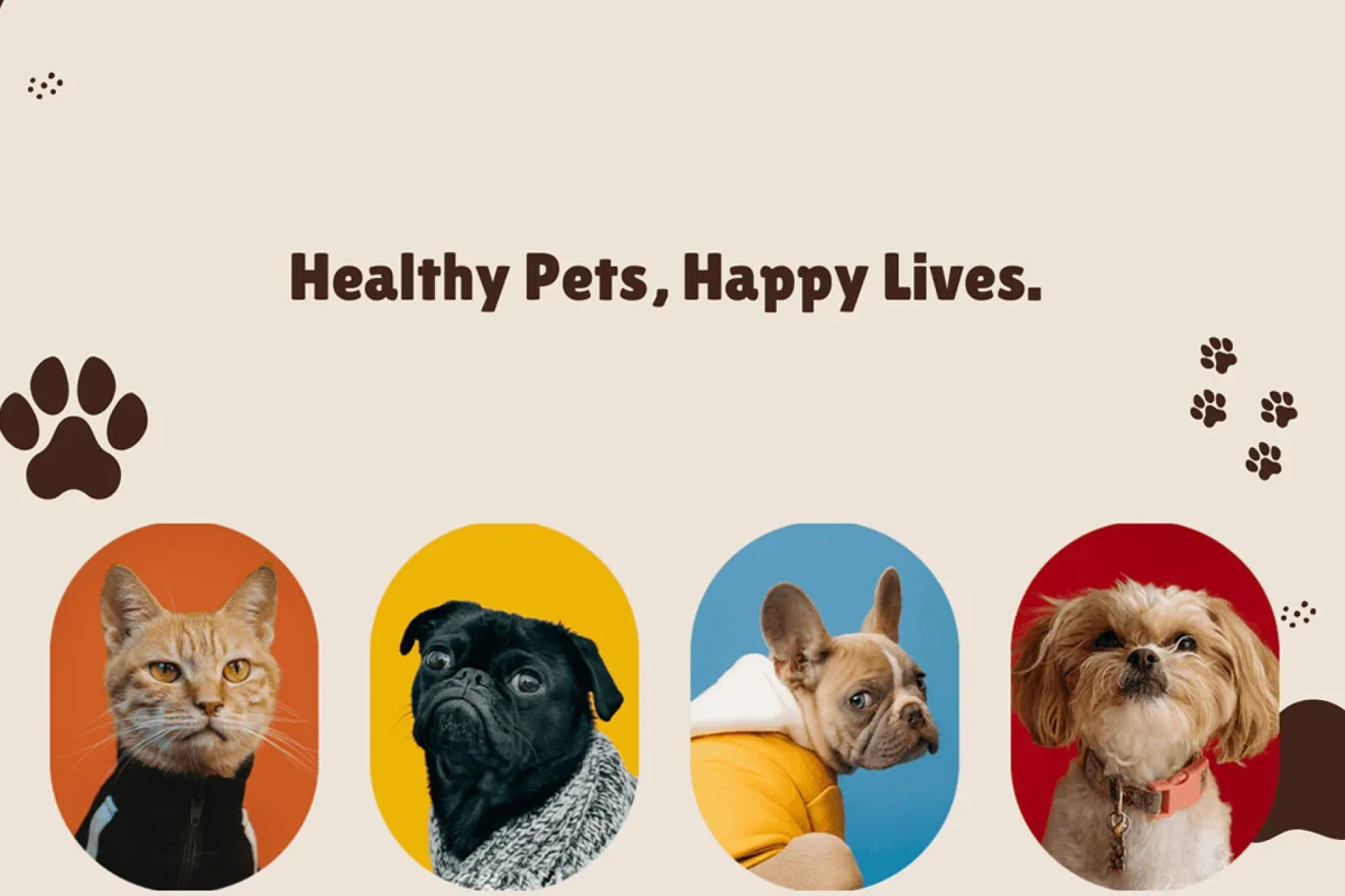 Eco-Friendly Pet care – Happy Pets and Healthy Environment