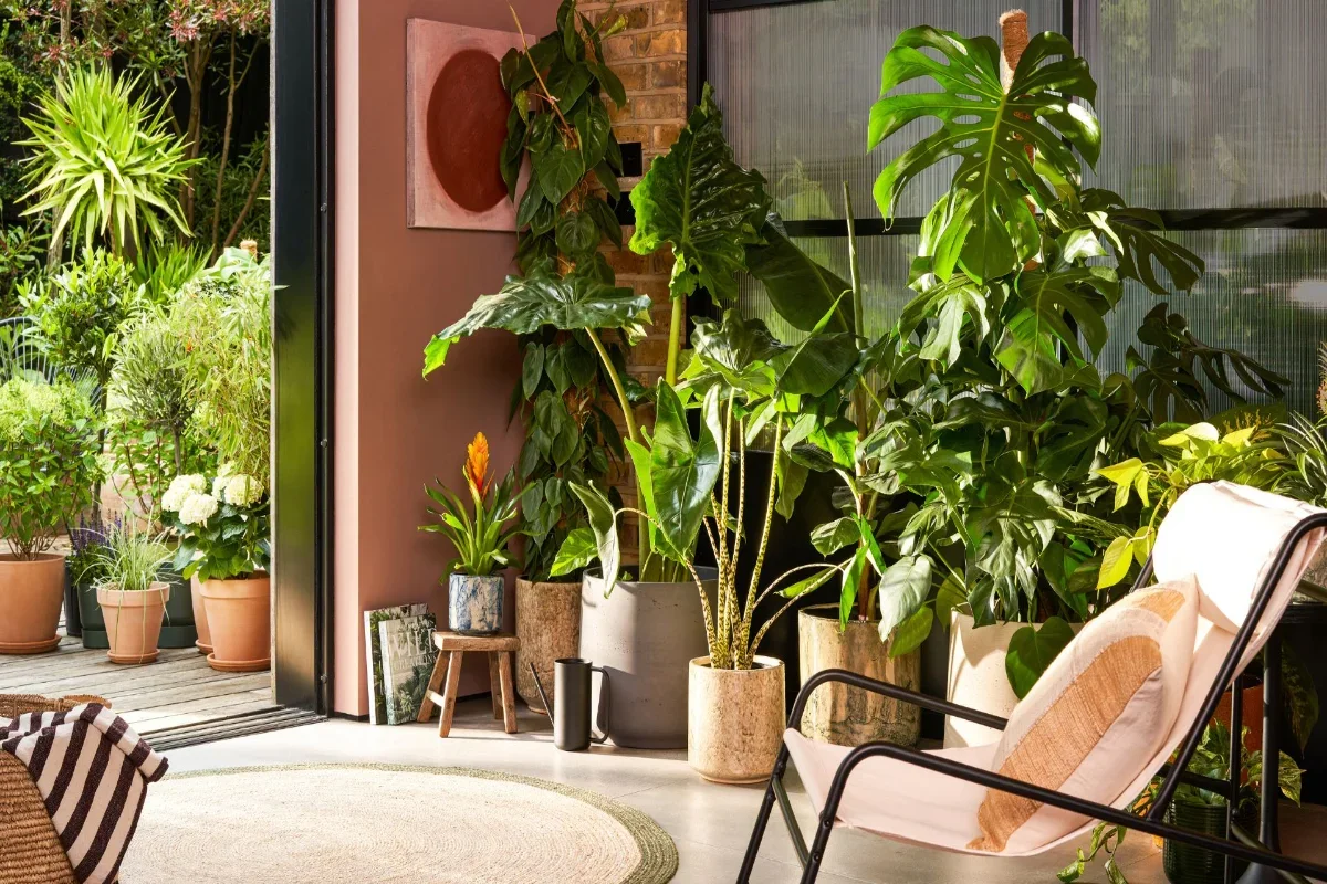 Easy Low-Maintenance Indoor Plants for Every Home Garden