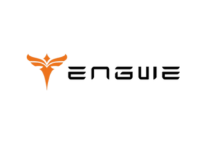 Engwe